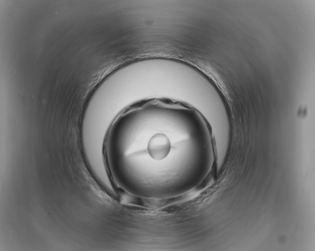 X0000096390393200802071542
