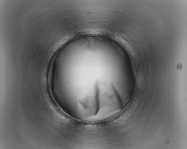 X0000096390394200802071542