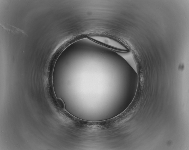 X0000096390396200802071542