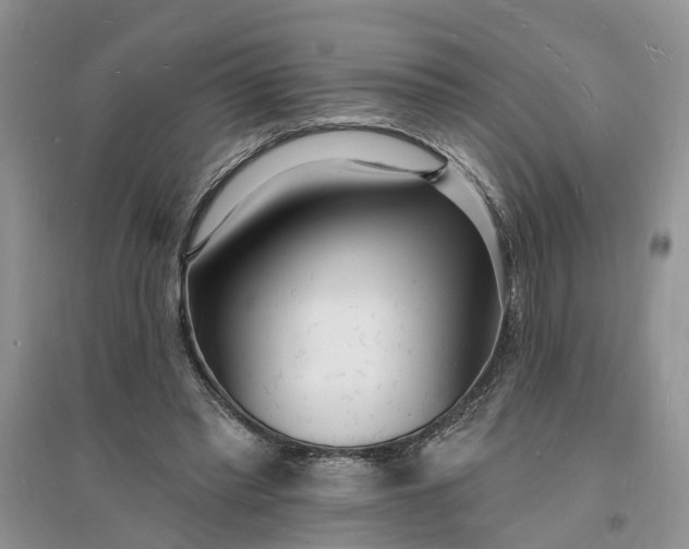 X0000096390397200802071542