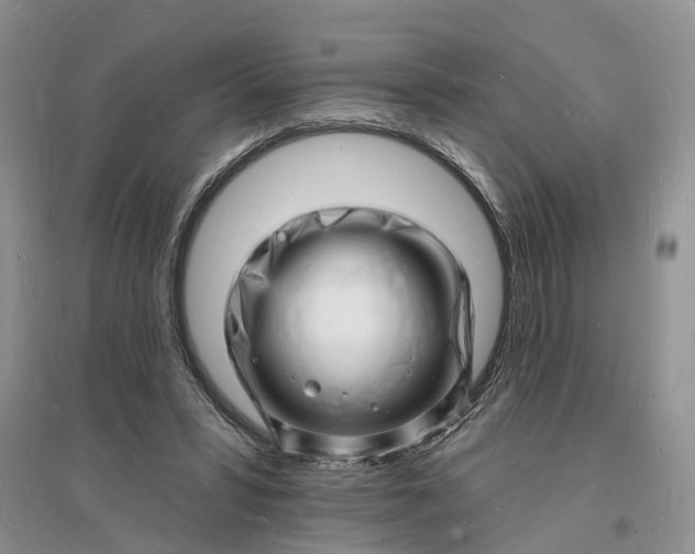 X0000096390399200802071542