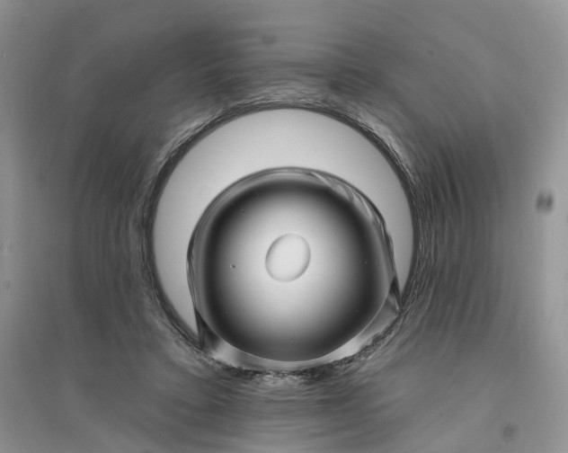 X0000096390403200802071542