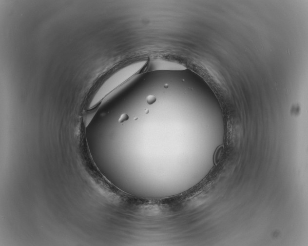 X0000096390404200802071542