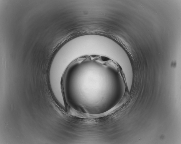 X0000096390405200802071542
