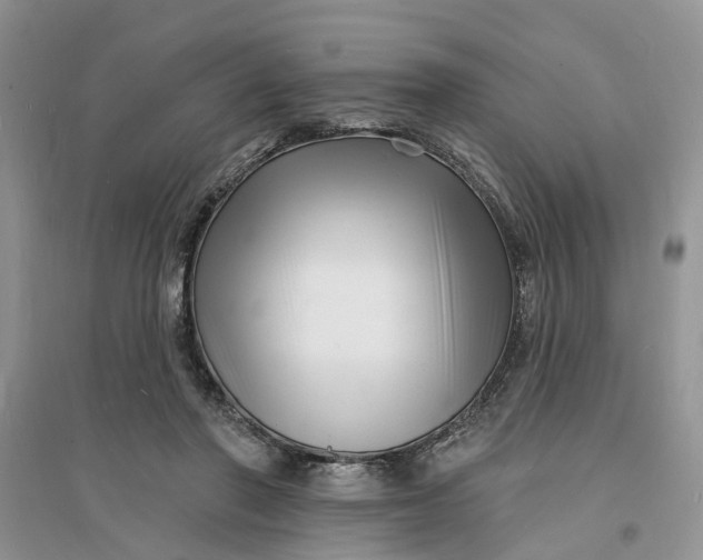 X0000096390406200802071542