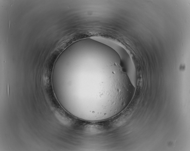 X0000096390408200802071541