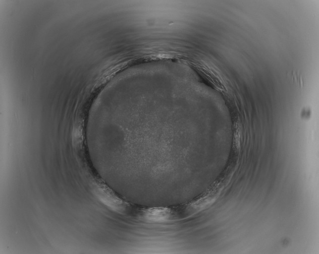 X0000096390410200802071541