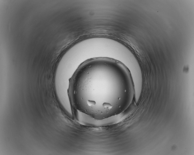 X0000096390411200802071541