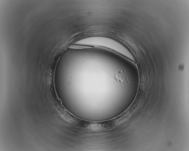 X0000096390413200802071541
