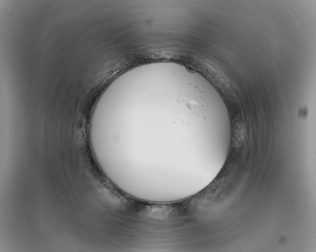 X0000096390414200802071541