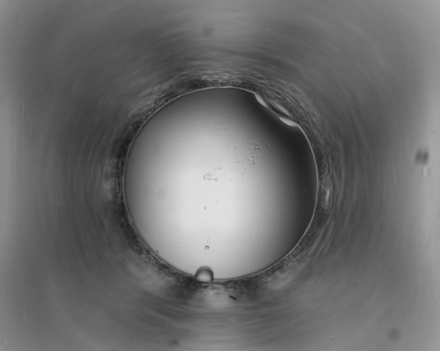 X0000096390416200802071541