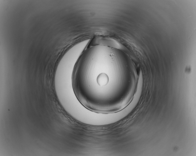 X0000096390417200802071541