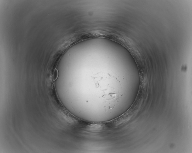 X0000096390418200802071541