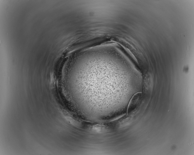 X0000096390420200802071541