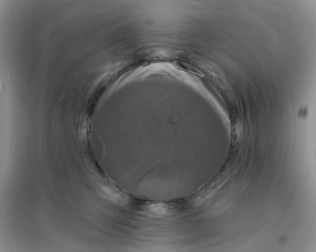 X0000096390423200802071541