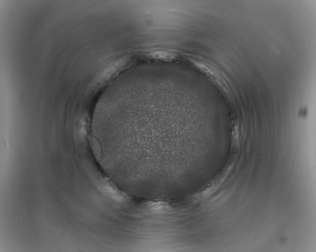 X0000096390424200802071541