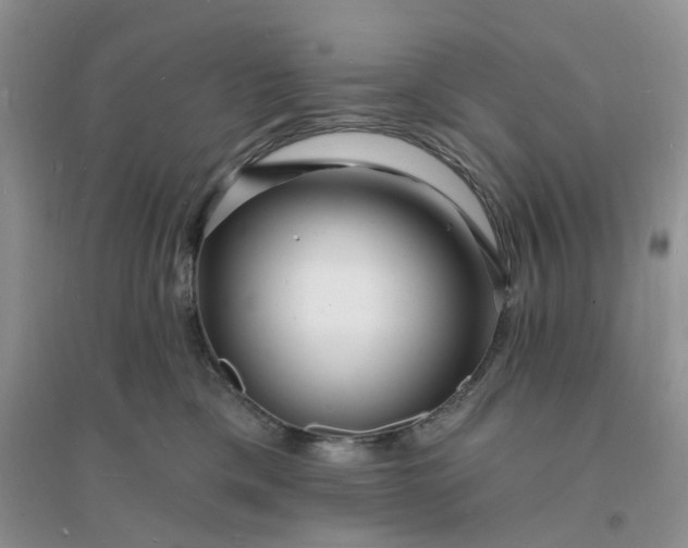 X0000096390425200802071541