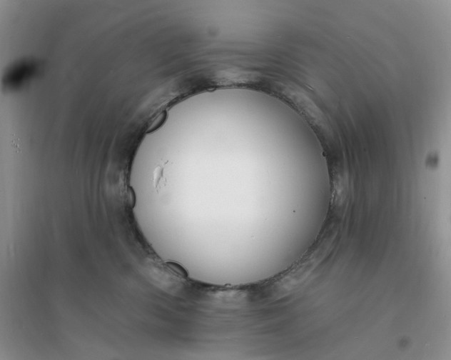 X0000096390426200802071541