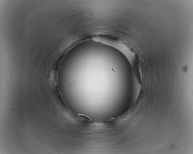 X0000096390428200802071541