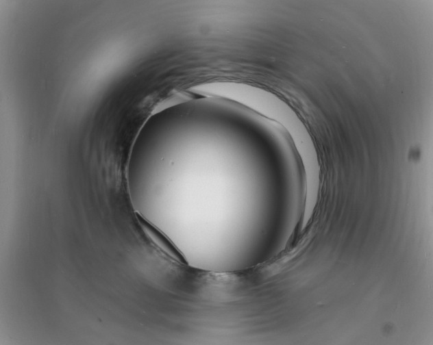 X0000096390429200802071541