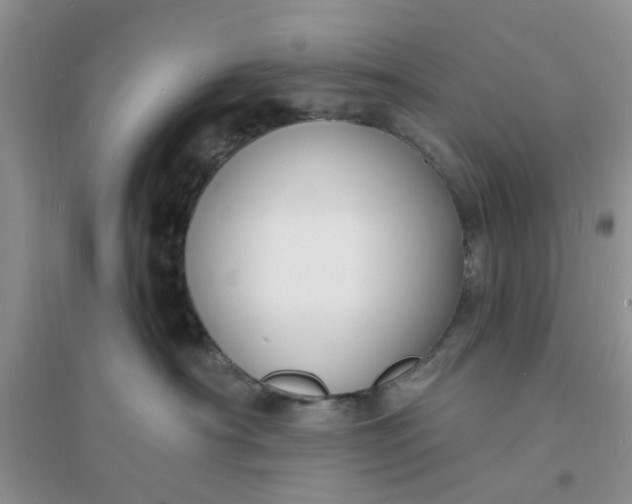 X0000096390430200802071541