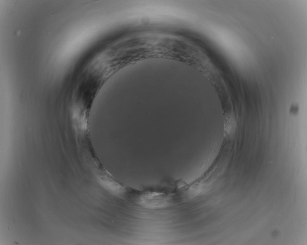 X0000096390431200802071541