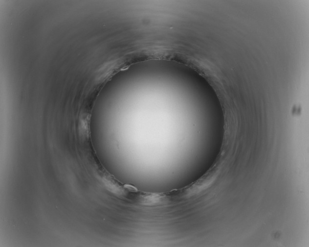X0000096390432200802071541