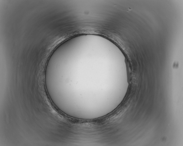 X0000096390433200802071540