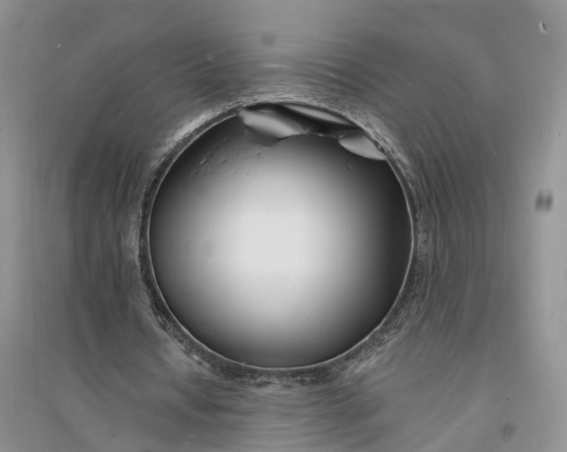 X0000096390434200802071541