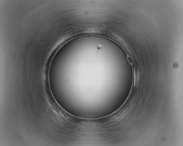 X0000096390435200802071541