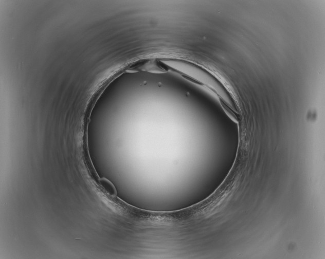X0000096390437200802071541