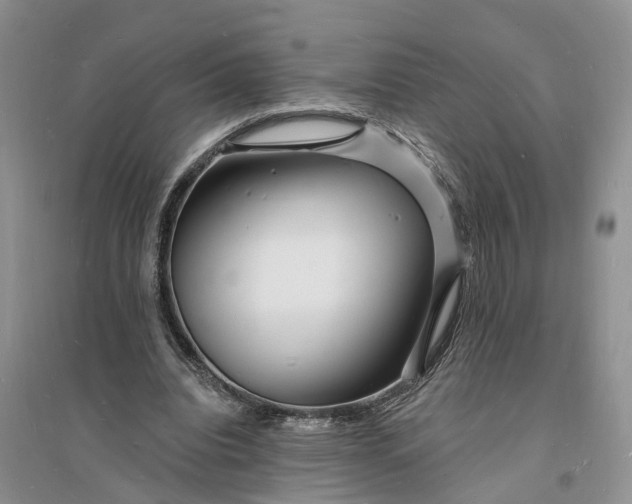 X0000096390440200802071541
