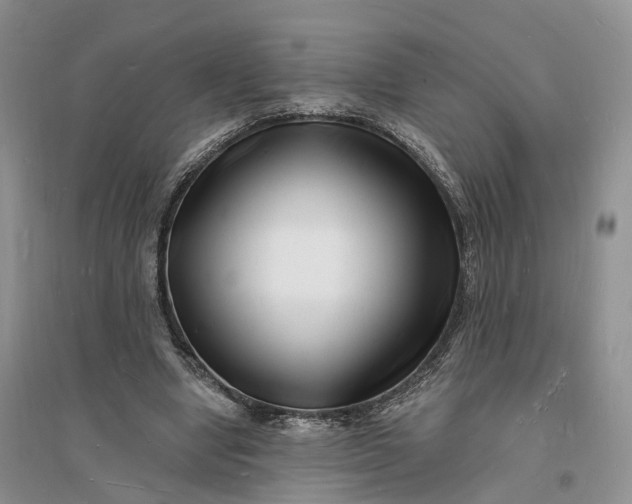 X0000096390442200802071541