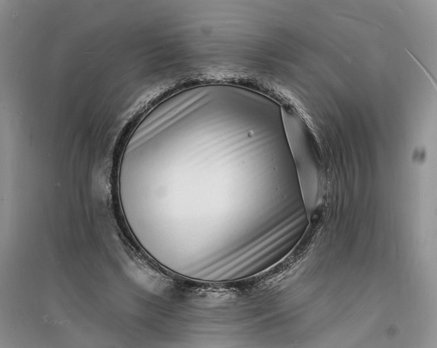 X0000096390443200802071541