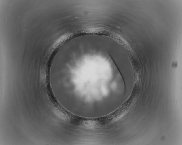 X0000096390444200802071541