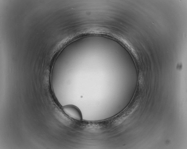 X0000096390445200802071541