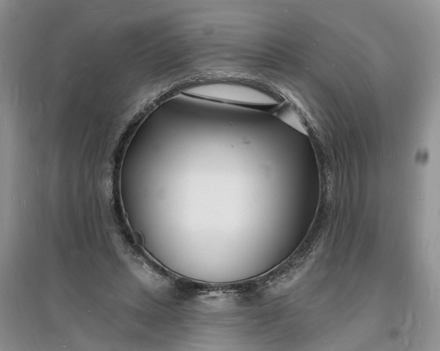 X0000096390447200802071541