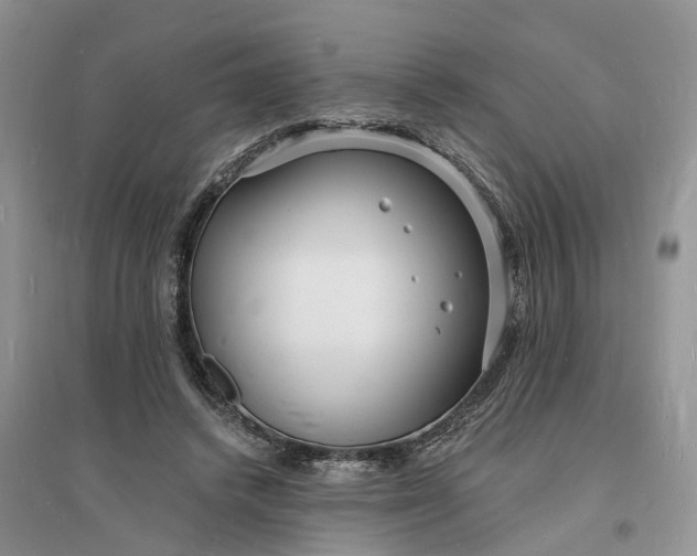 X0000096390448200802071541
