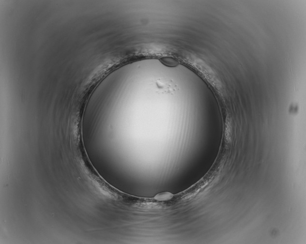X0000096390449200802071541