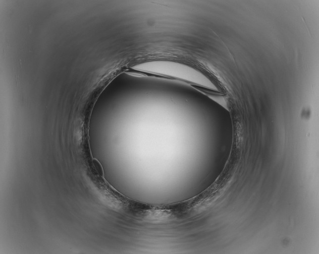 X0000096390451200802071541
