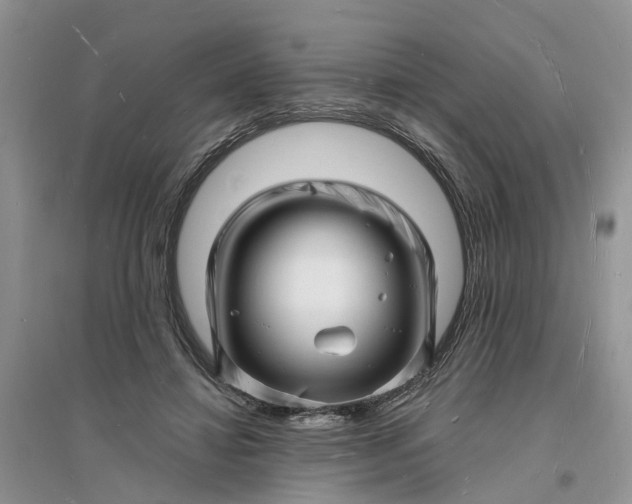 X0000096390452200802071541