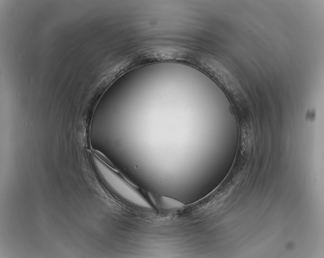 X0000096390453200802071541