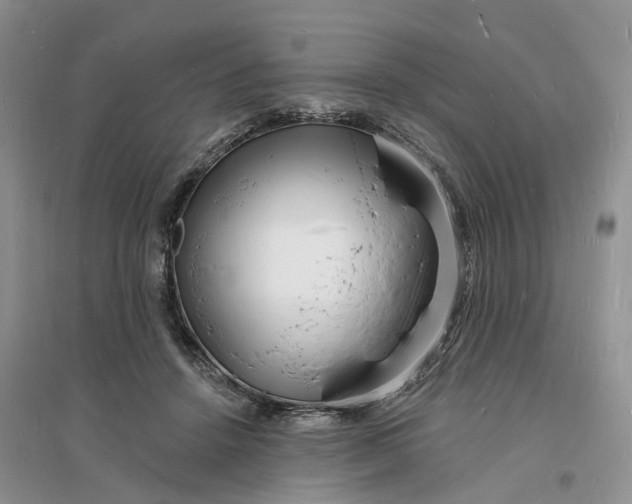 X0000096390456200802071541