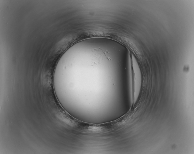 X0000096390457200802071541