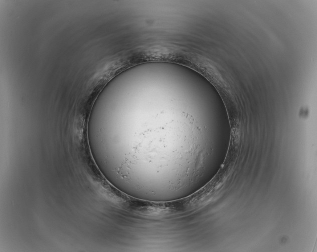 X0000096390458200802071541
