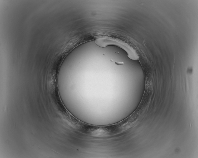 X0000096390460200802071541