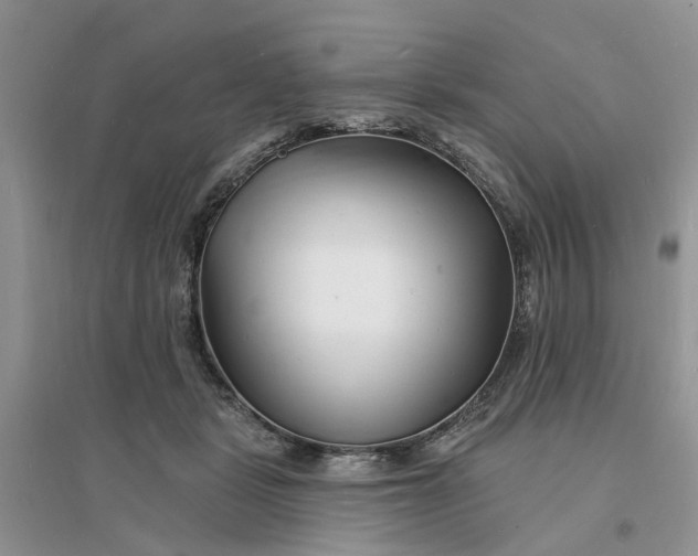 X0000096390461200802071541