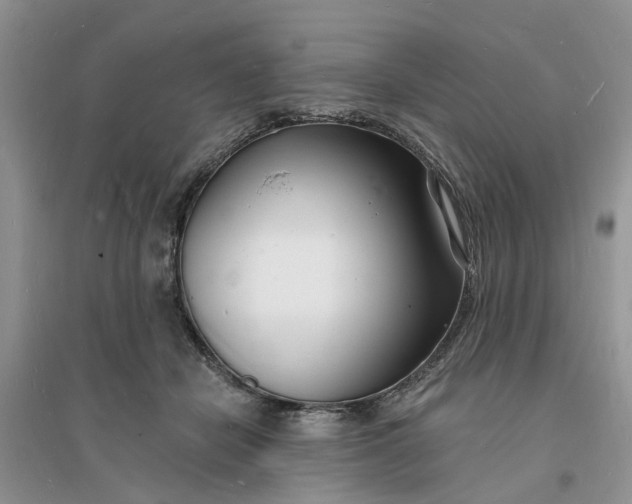 X0000096390462200802071541