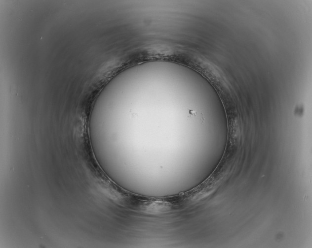 X0000096390463200802071541