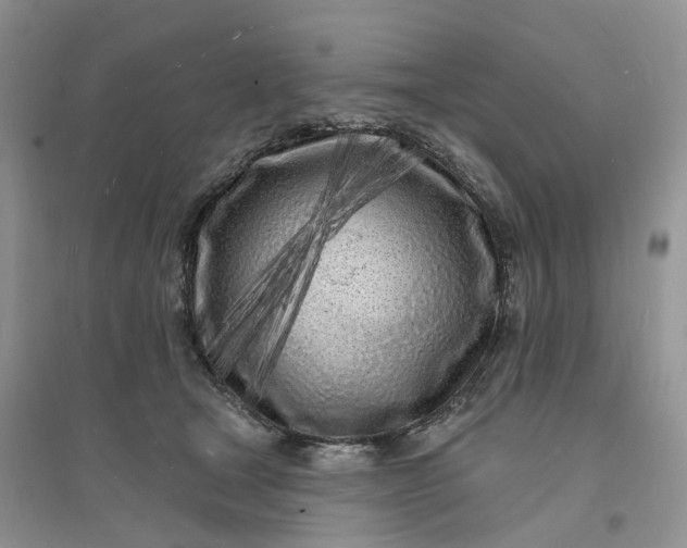 X0000096390465200802071541